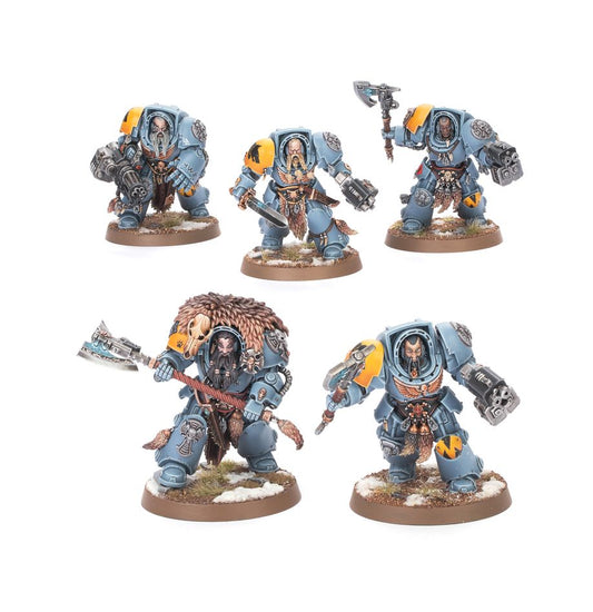 Wolf Guard Terminators