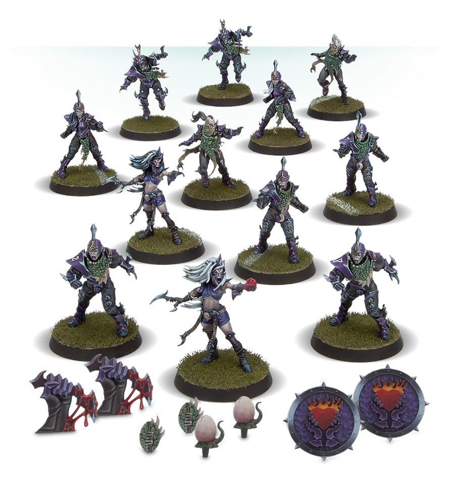 Blood Bowl: Dark Elves: Naggaroth Nightmares