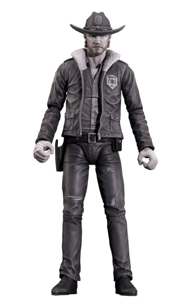 Walking Dead Comic Series 1 Action Figure Assortment