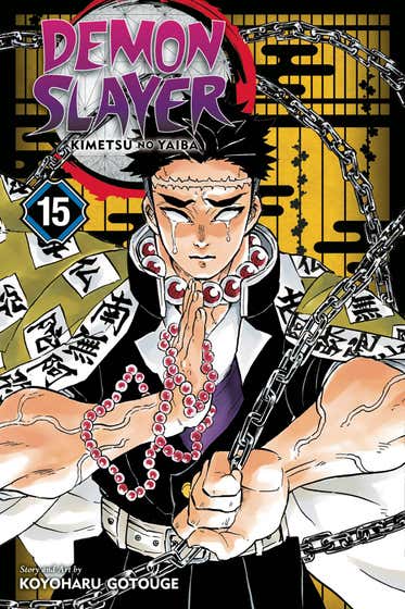 DEMON SLAYER KIMETSU NO YAIBA VOL 15