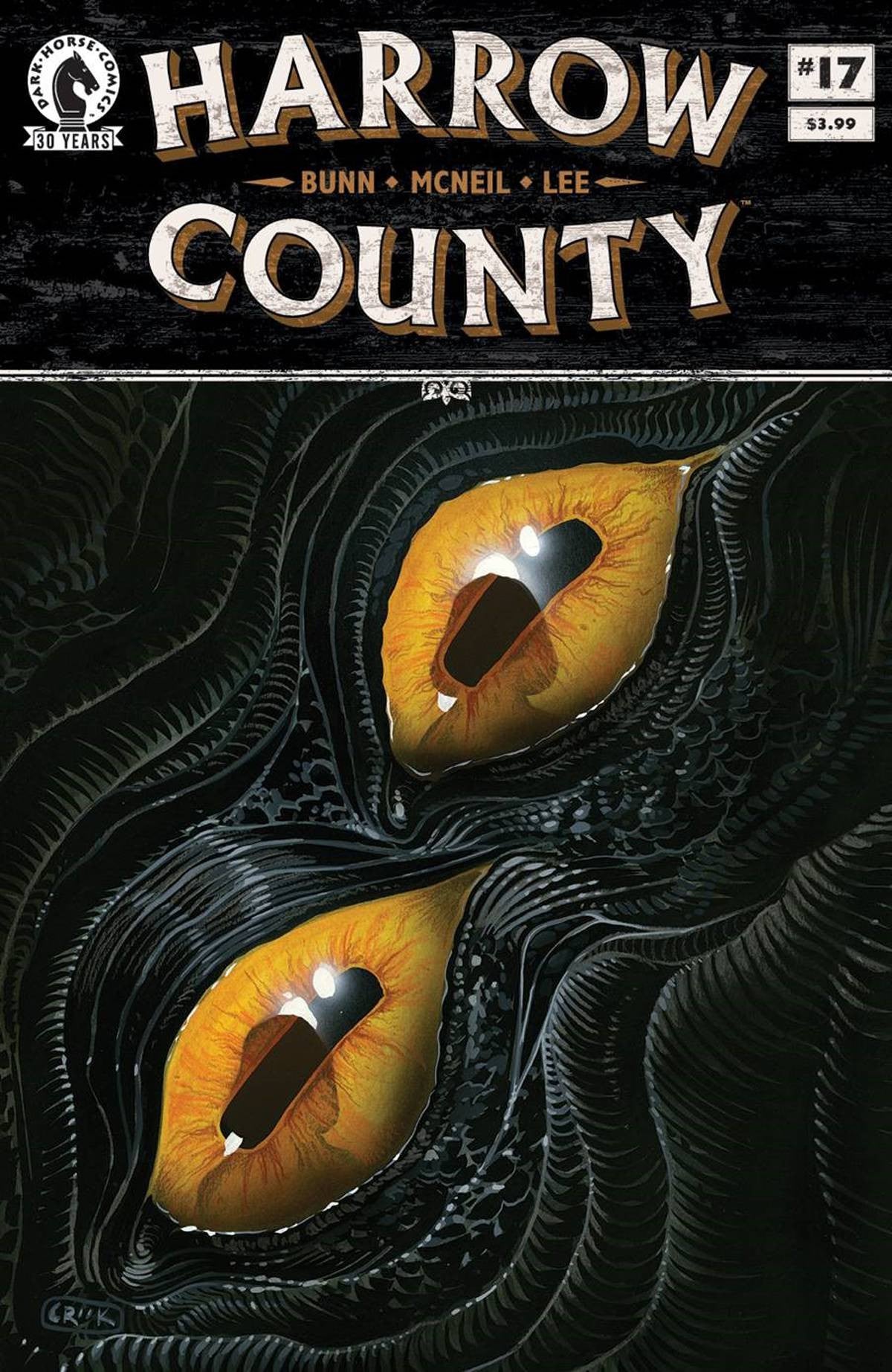 HARROW COUNTY #17 COVER