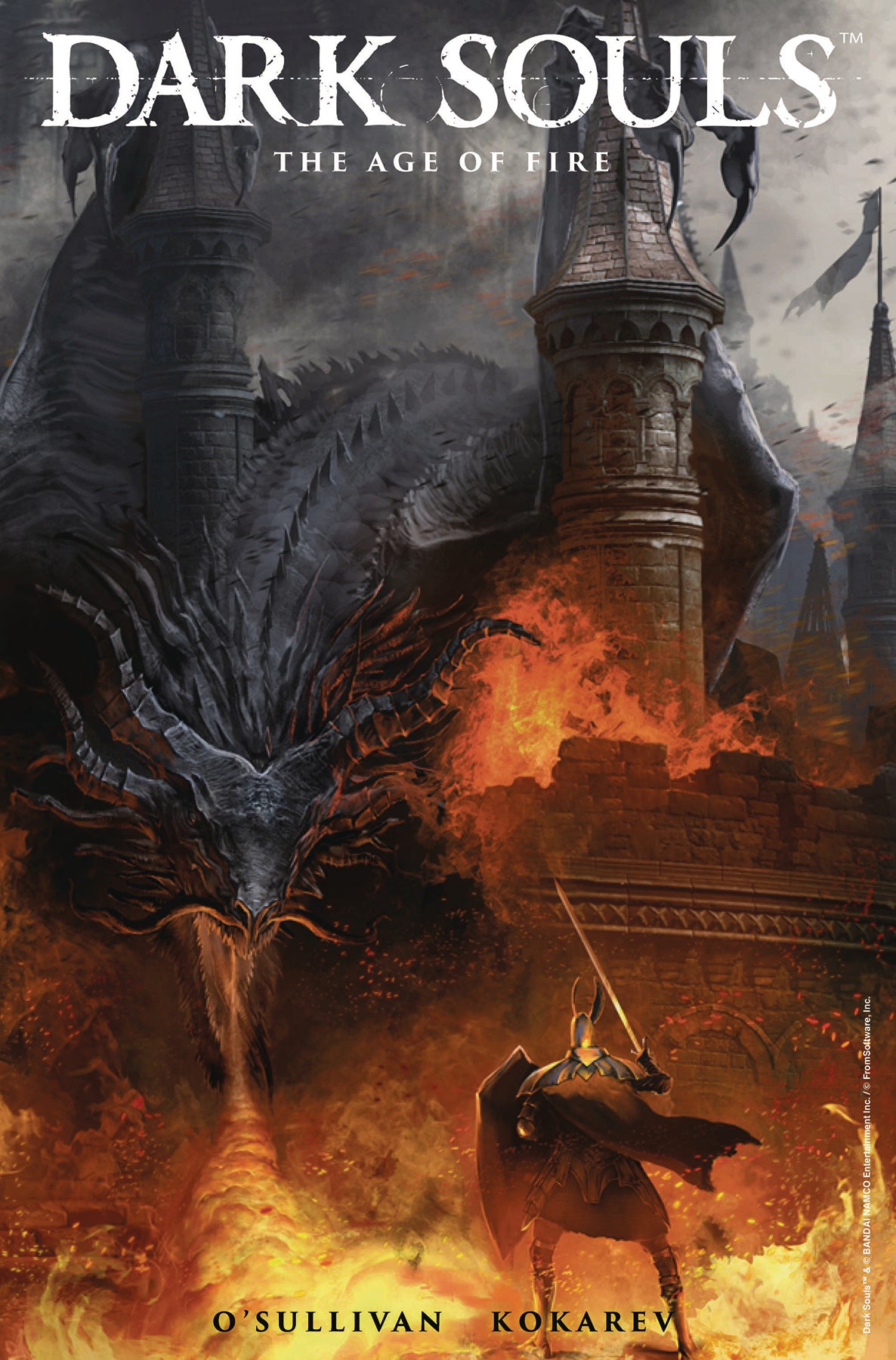DARK SOULS AGE OF FIRE #1 (OF4) CVR C KOKAREV COVER