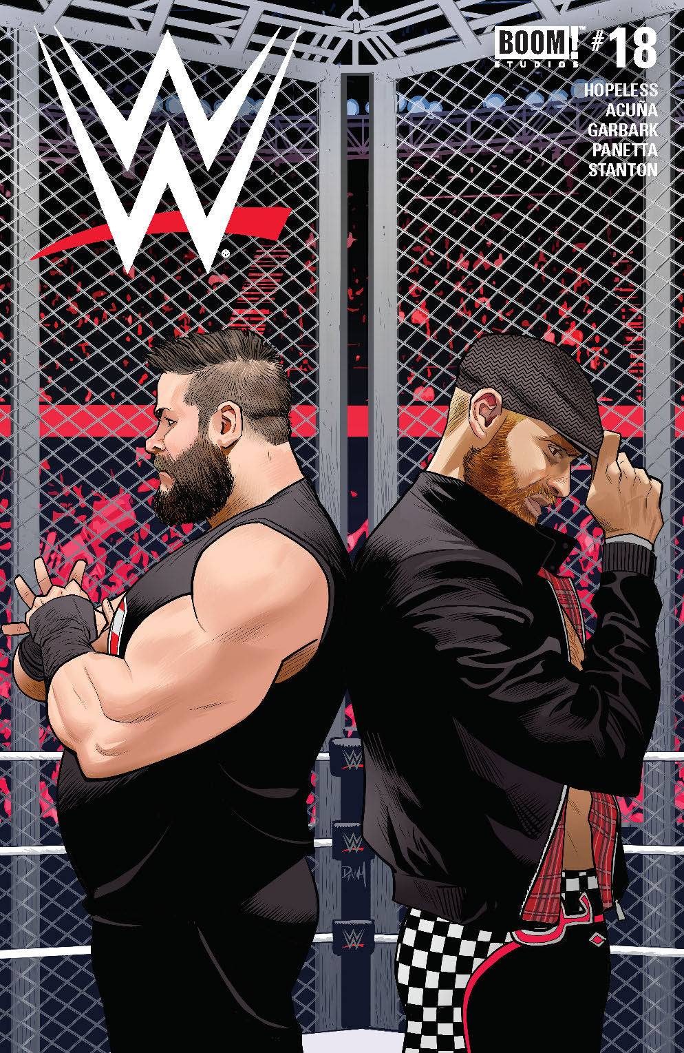 WWE #18 COVER