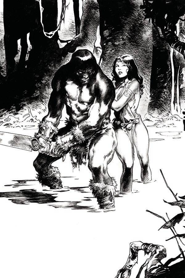 CIMMERIAN IRON SHADOWS IN MOON #3 CVR B AUGUSTIN