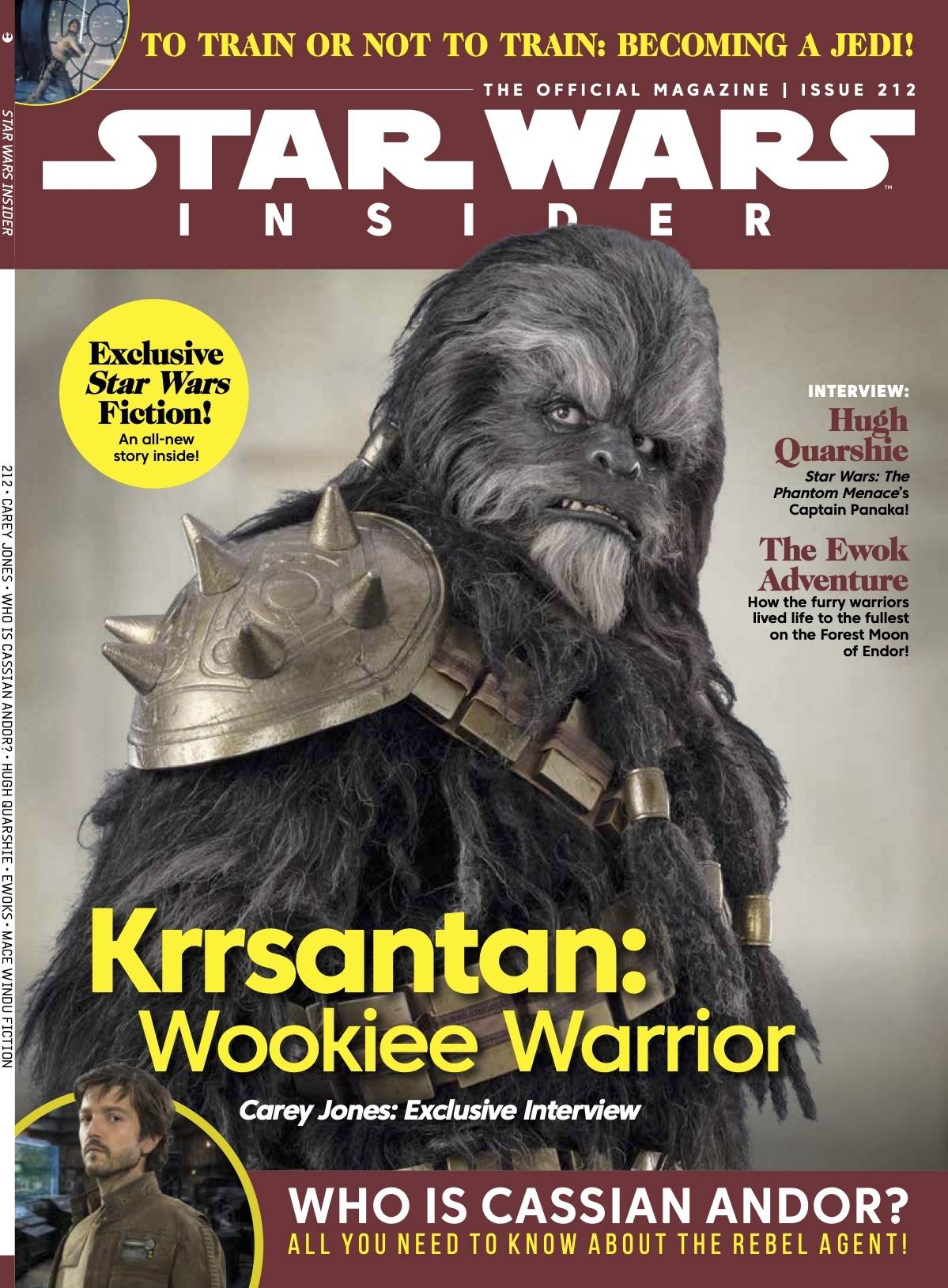 STAR WARS INSIDER #212 NEWSSTAND ED