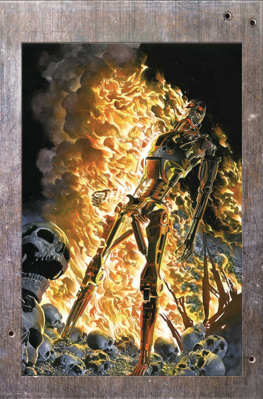 Terminator #1 Cover Q 25 Copy Variant Edition Ross Burning Earth Icon Foi