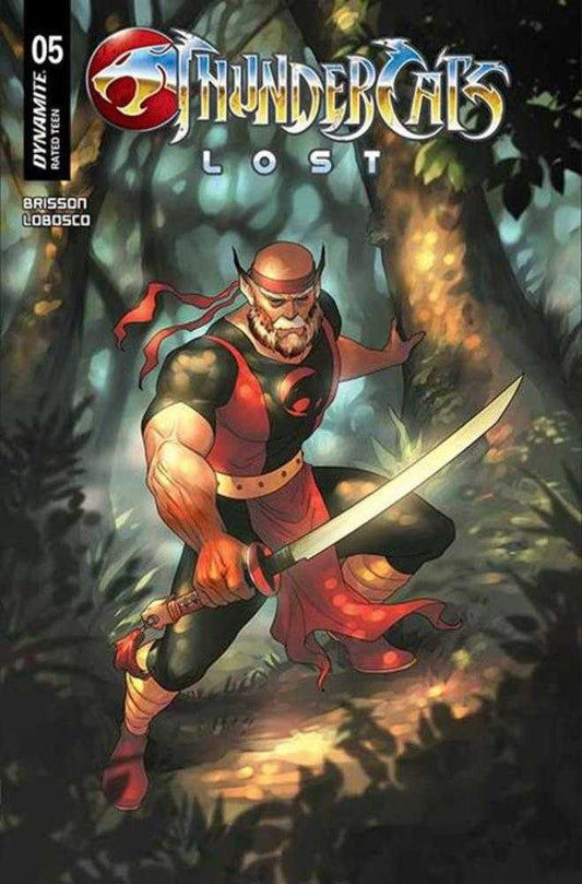 Thundercats Lost #5 Cover C Meghan Hetrick Variant