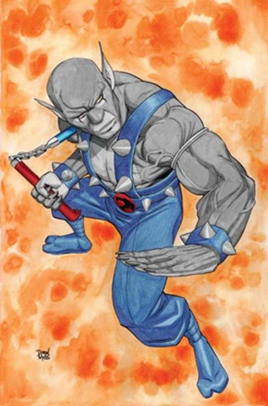 Thundercats #21 Cover I 1 in 10 Drew Moss Full Art Variant