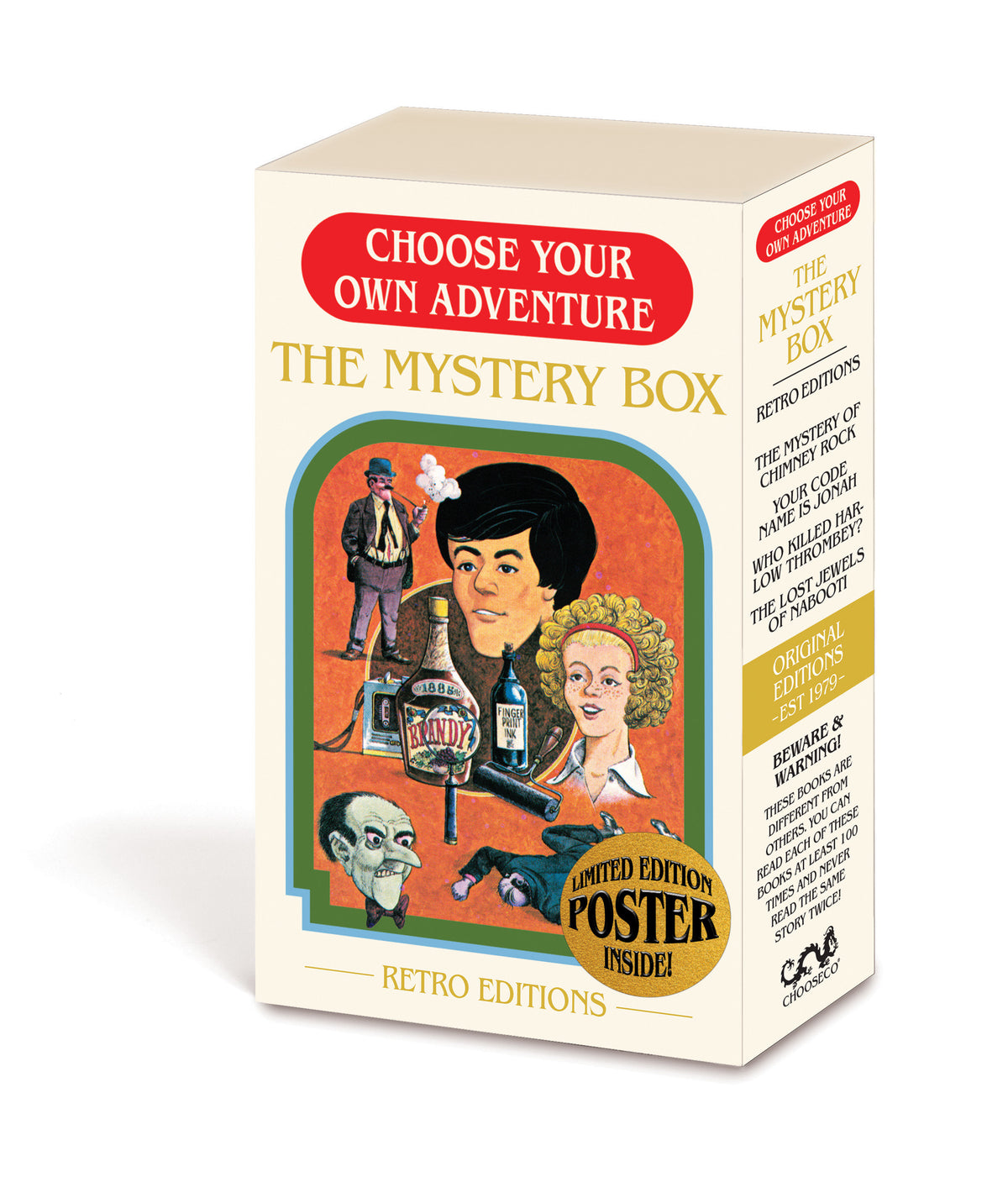 Choose Your Own Adventure: The Mystery Box