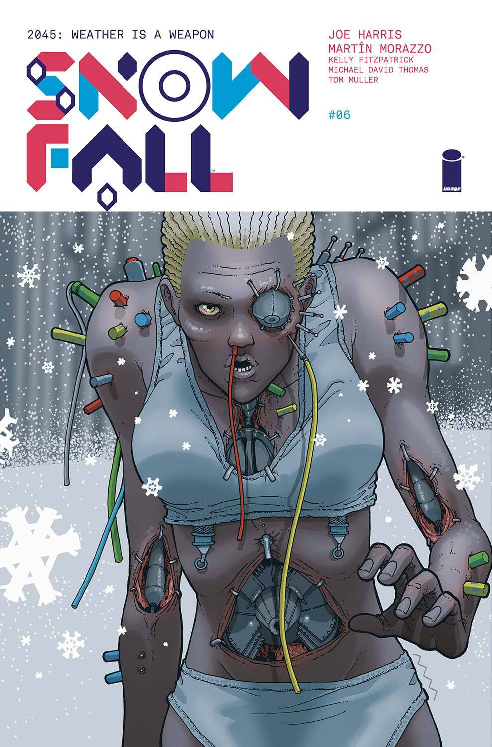 SNOWFALL #6 (MR) COVER