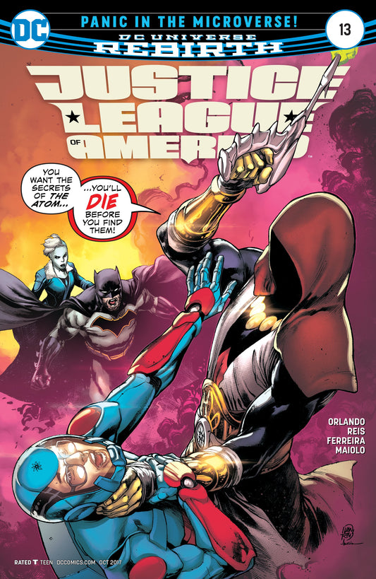 JUSTICE LEAGUE OF AMERICA #13 COVER