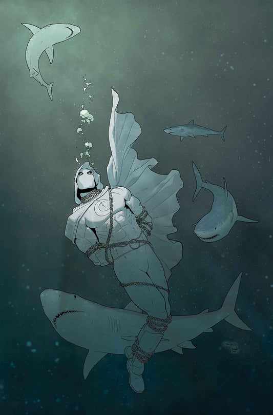 MOON KNIGHT #192 LEG COVER