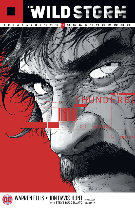 WILD STORM #13 COVER