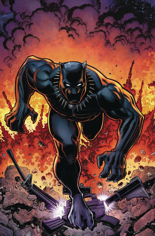 RISE OF BLACK PANTHER #6 (OF 6) ADAMS VAR COVER