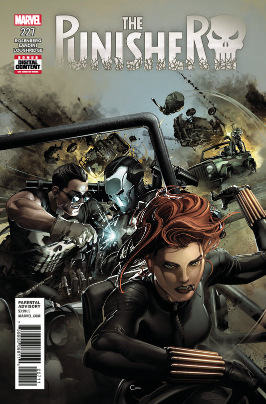 PUNISHER #227 COVER