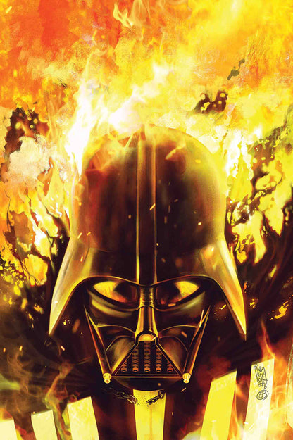 STAR WARS DARTH VADER #24 COVER