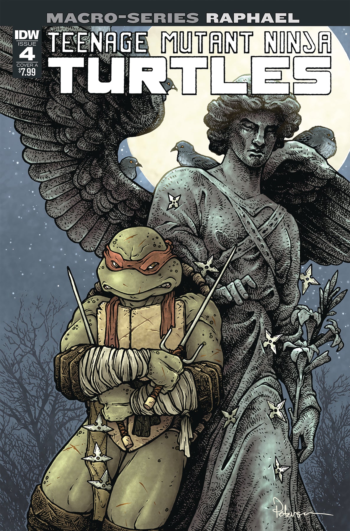 TMNT MACROSERIES #4 RAPHAEL CVR A PETERSEN COVER
