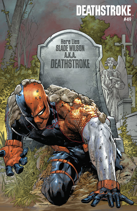 HARLEY QUINN #67 YOTV ACETATE