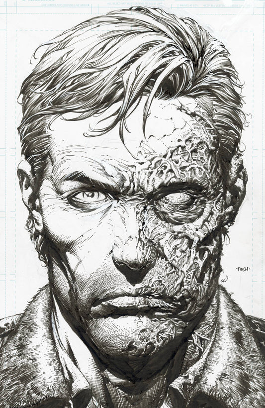 WALKING DEAD DLX #1 CVR B FINCH & MCCAIG 25 COPY INCV (MR)