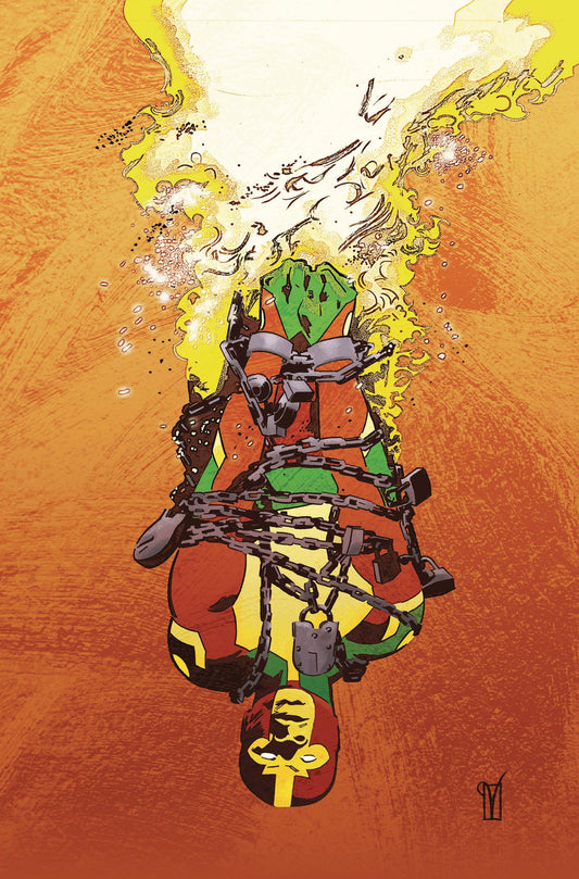 MISTER MIRACLE SOURCE OF FREEDOM #1 CVR B DE LANDR