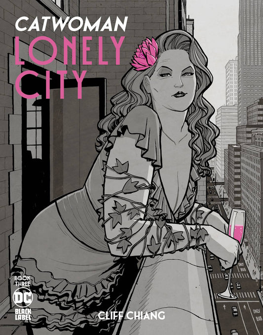 CATWOMAN LONELY CITY #3 (OF 4) CVR B CHIANG VAR (MR)