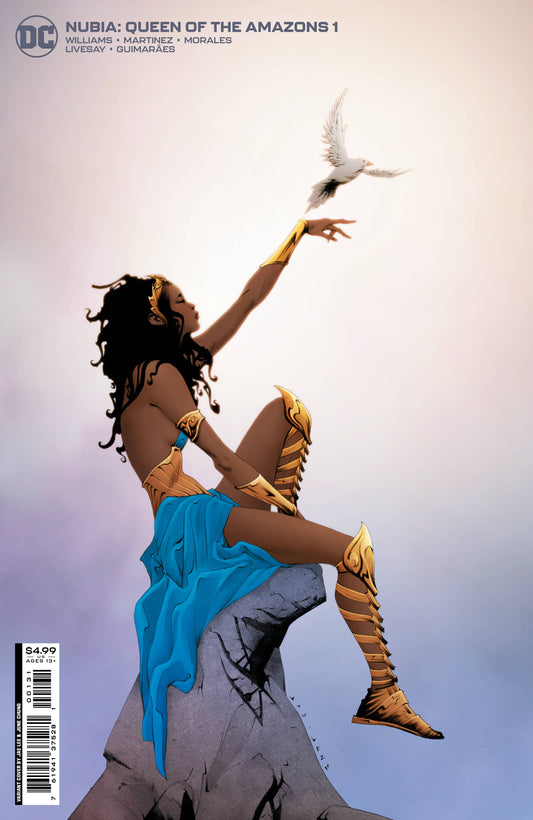 NUBIA QUEEN OF THE AMAZONS #1 CVR B LEE